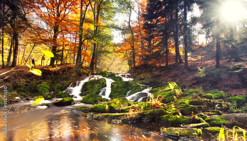 Fototapeta premium Jesień w Harzu