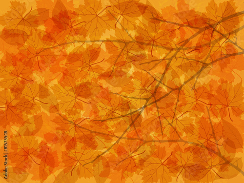 Autumn background with fallen leaves and branches.