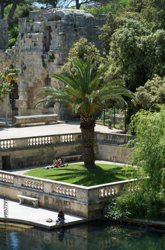 Obraz na płótnie Palmier aux jardins de la fontaine w salonie