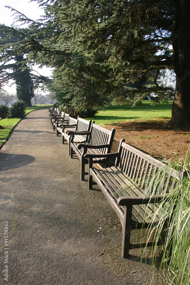 Park with long row of benches