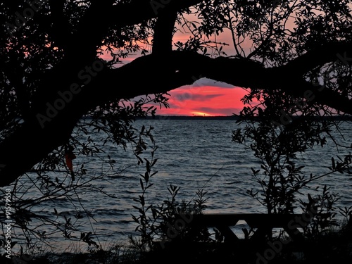 Obraz na plátně Boggy Sundown