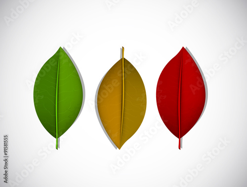 Set of colorful autumn leaves. Vector illustration.