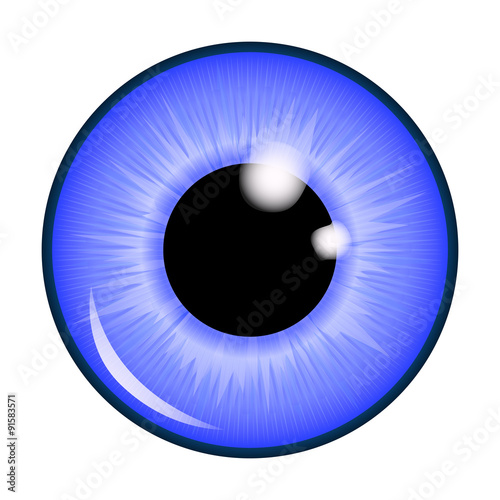 The pupil of the eye, eye ball. Realistic vector illustration isolated on white background.