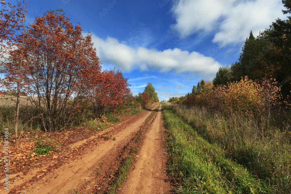 Field road among autumnal forest to the blue clouds
