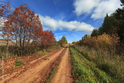 Field road among autumnal forest to the blue clouds  