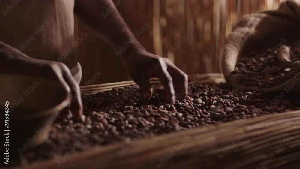 African Worker Is Sorting Coffee Bean.