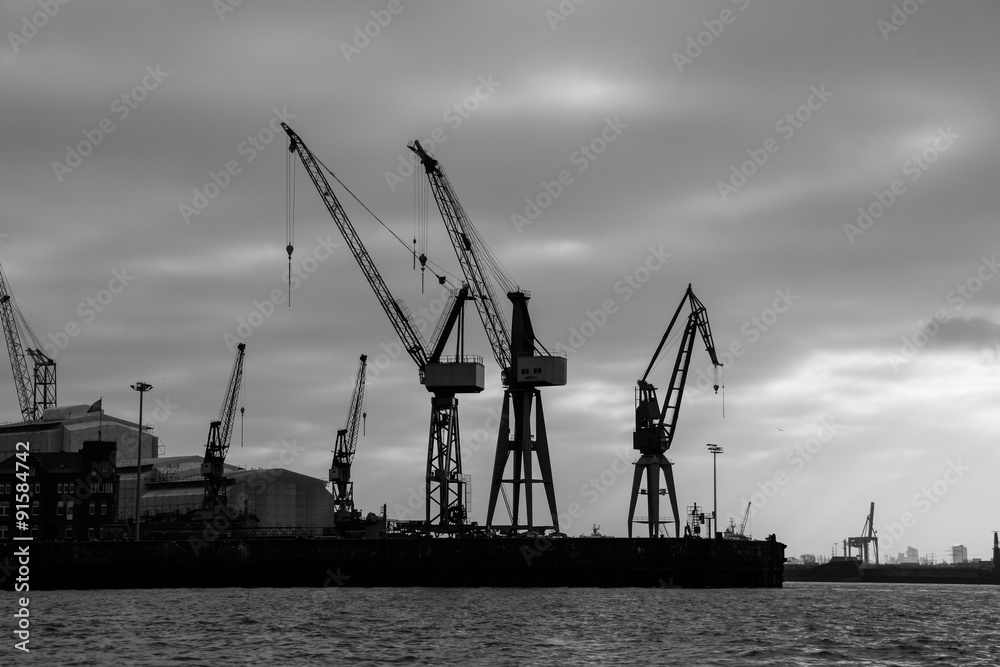 Dock with many cranes in the harbour of Hamburg Dock with many cranes in the harbour of Hamburg