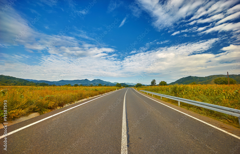 Fototapeta premium Asphalt Road Landscape