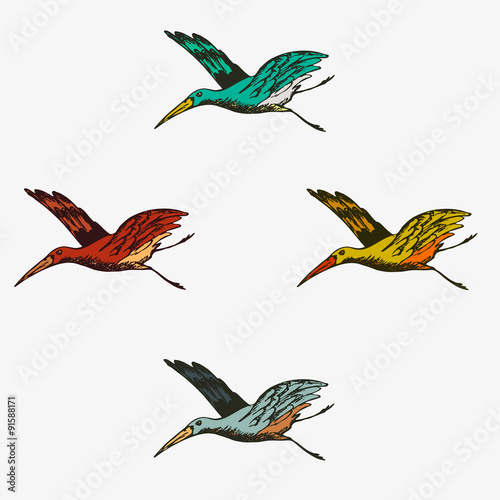 Set of vintage colorful hand drawn style flying birds isolated on grey, editable eps 10