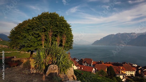 Vineyards of the Lavaux region over lake Leman (lake of Geneva),Switzerland