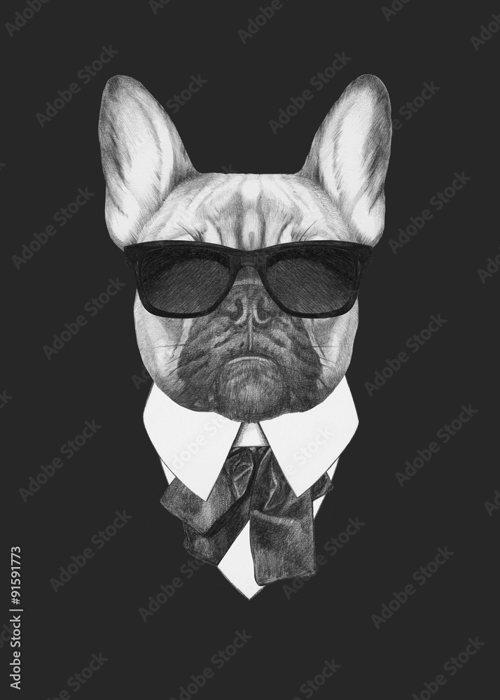 Portrait of French Bulldog in suit. Hand drawn illustration. - obrazy, fototapety, plakaty 