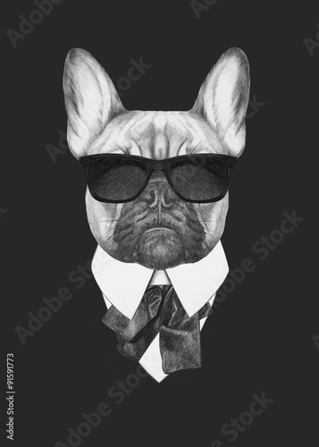 Portrait of French Bulldog in suit. Hand drawn illustration. photo