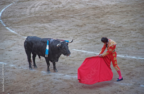 Torero (bullfighter) in action