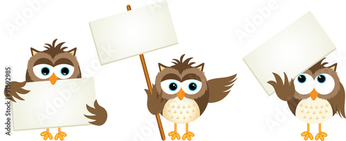 Three owls with signboards