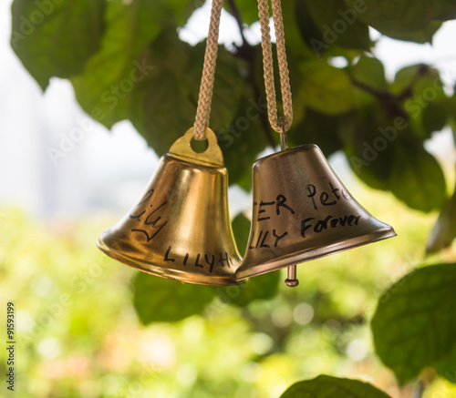 a pair of shiny bells photo