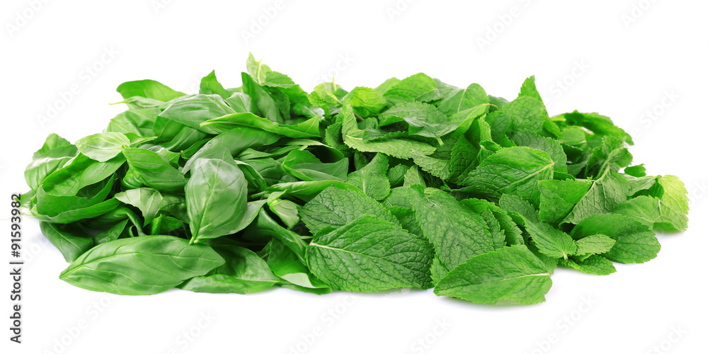 Green fresh leaves of mint and basil isolated on white