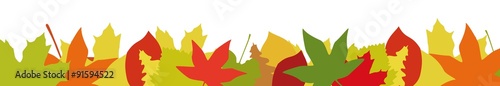 Herbstblätter Panorama Hintergrund