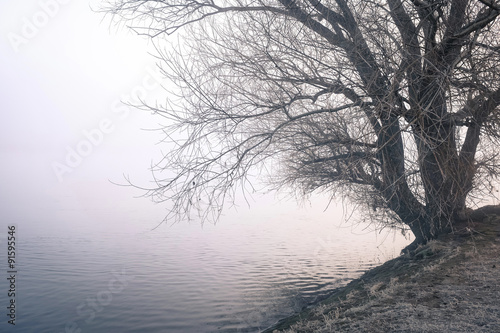 Herbstlandschaft - Baum am Flussufer bei Raureif und Nebel 