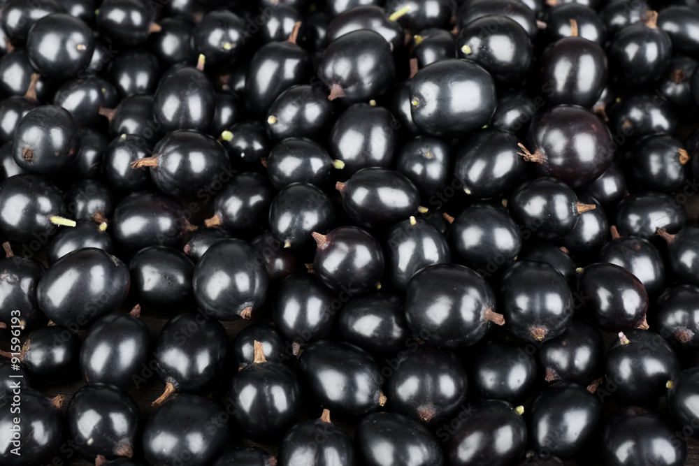 Heap of wild black currant close up Heap of wild black currant close up