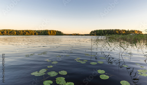 View lake with water lilies at sunset. photo