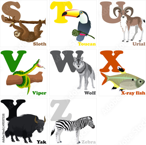 Vector illustration of alphabet animals from S to Z photo