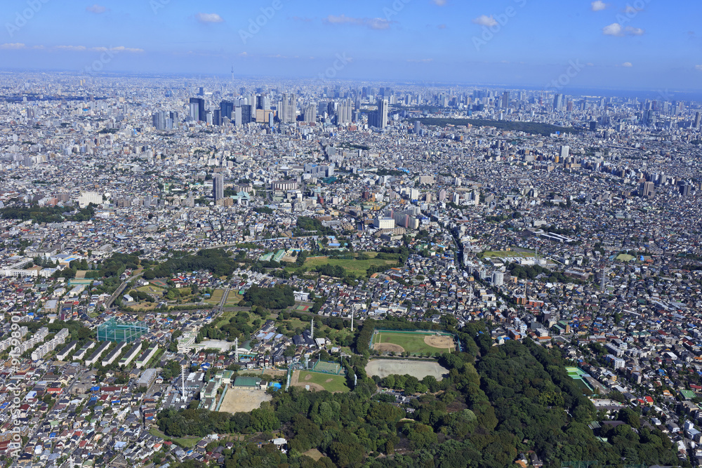 Obraz premium 郊外の住宅地／和田堀公園から新宿副都心を望む