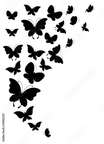 butterflies design