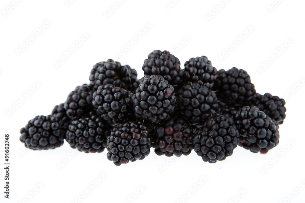 Blackberry isolated on white background Blackberry isolated on white background