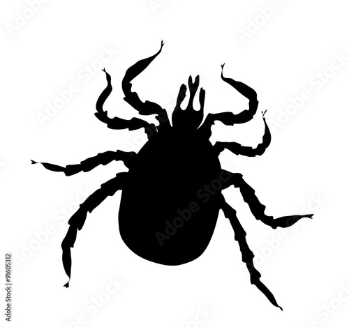 Black silhouette of tick 
Vector illustration isolated on white background
