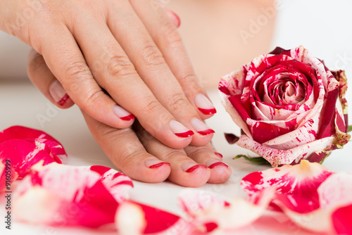 Female Hands With Nail Varnish Near The Rose