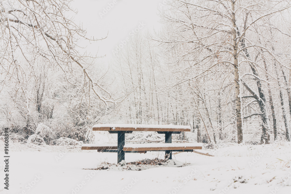Winter landscape of a picnic table in the woods covered in snow.