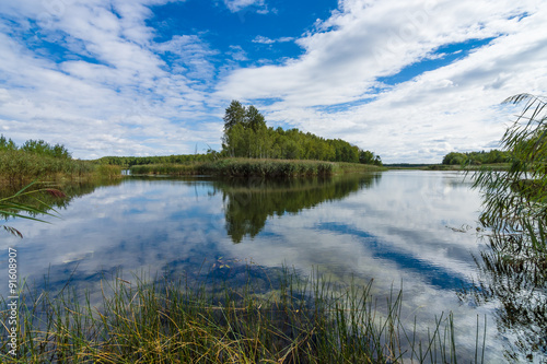 At the lake. Summer landscape.