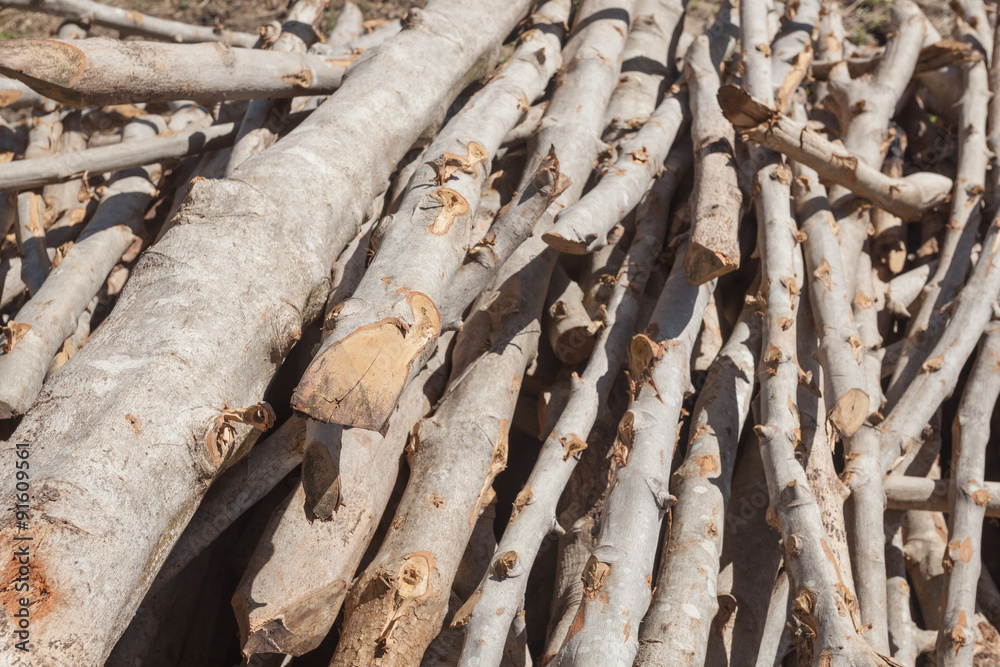 A small pile of logs in countryside , firewood stack