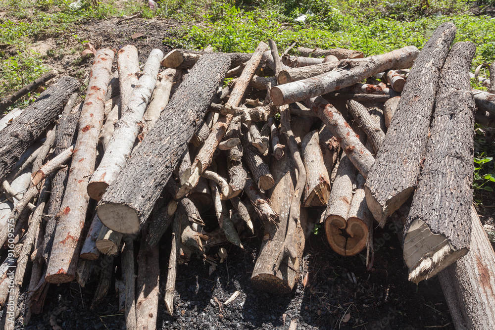 A small pile of logs in countryside , firewood stack A small pile of logs in countryside , firewood stack