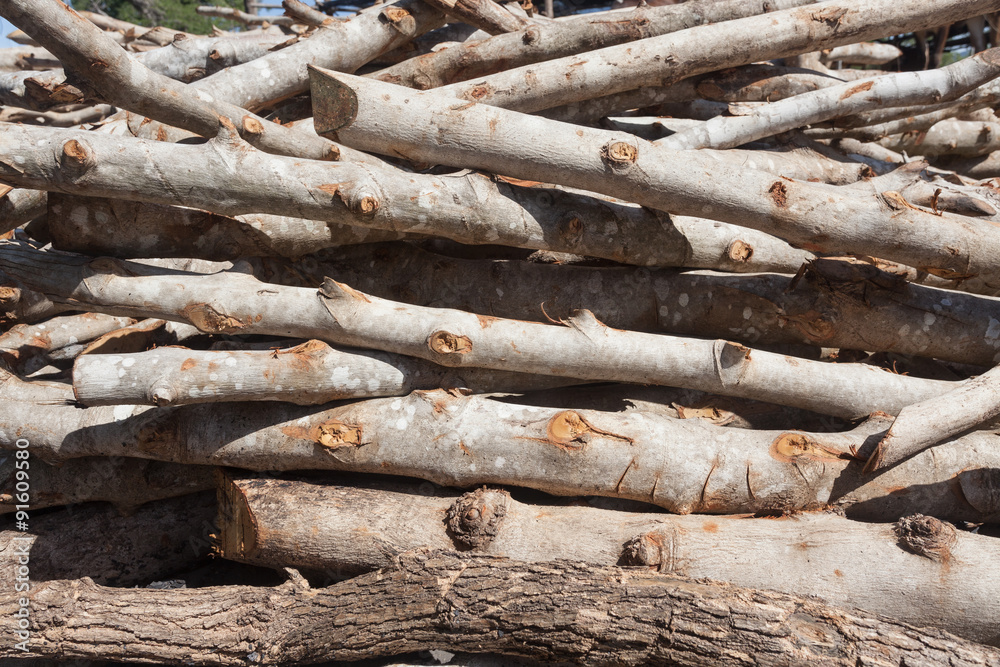 A small pile of logs in countryside , firewood stack