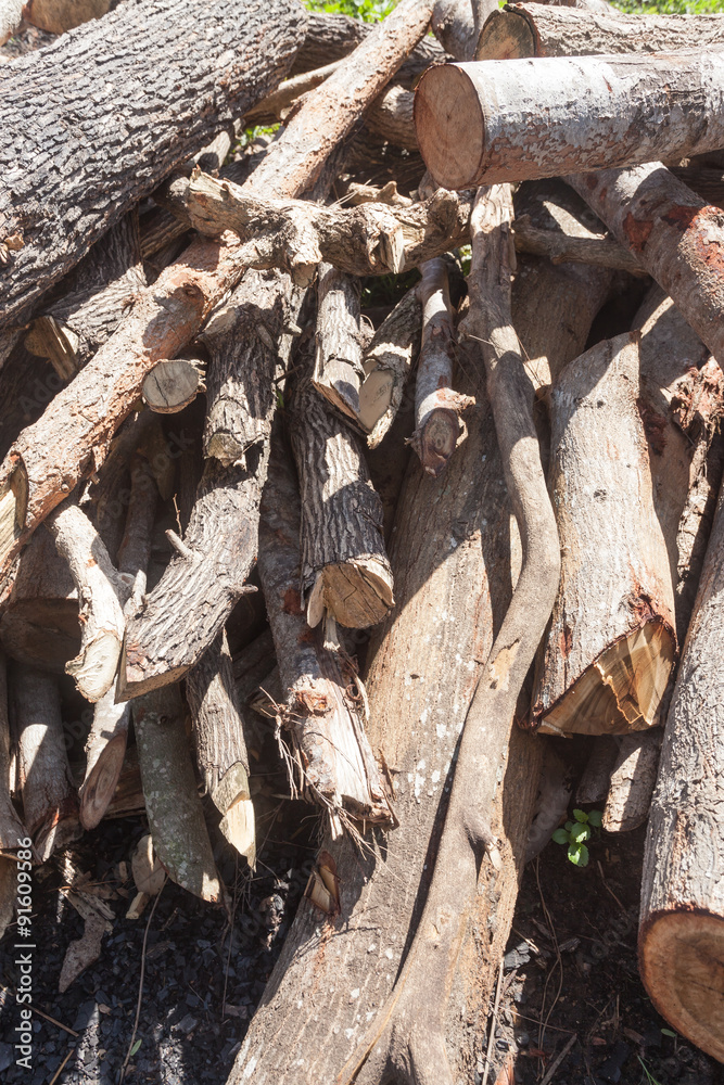 A small pile of logs in countryside , firewood stack