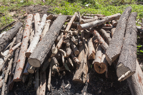 A small pile of logs in countryside , firewood stack