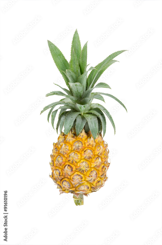 Pineapple isolated on over white background Pineapple isolated on over white background