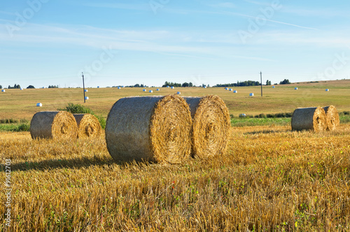 Rural landscape with straw rolls