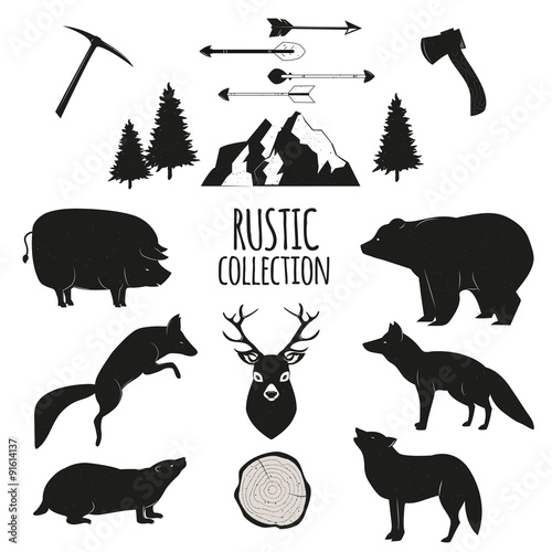 Hand Drawn wilderness animals and objects set