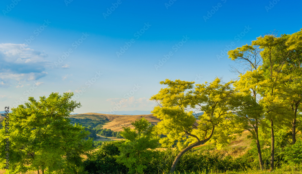 Fototapeta premium The hills of Montalcino, a wine town, Siena