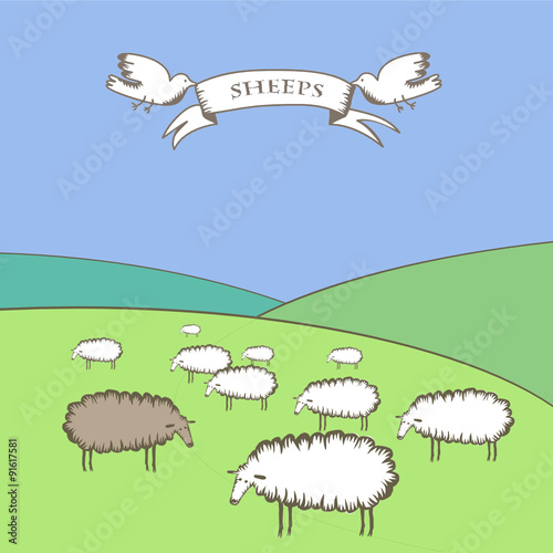 Vector picture with banner, birds and sheep