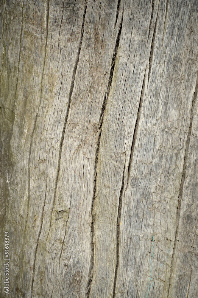 Old Wood Background