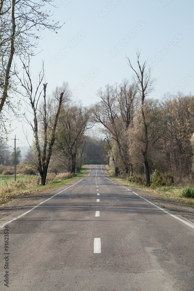 Autumn country road 