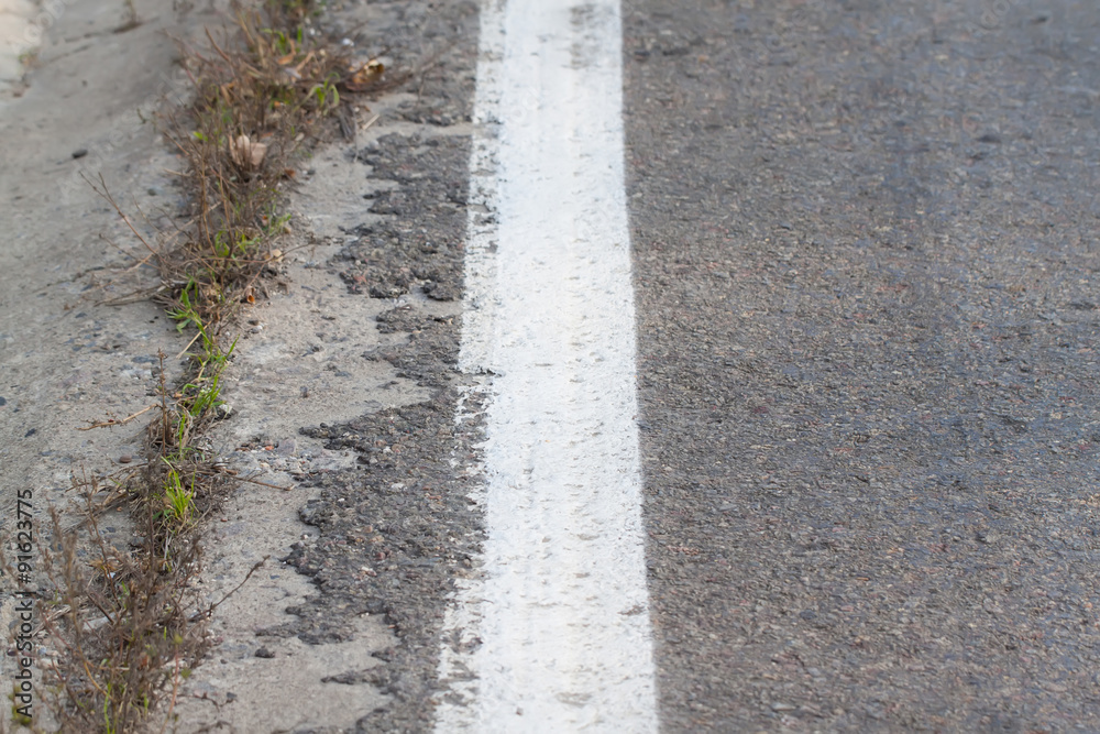 Close-up of roadside