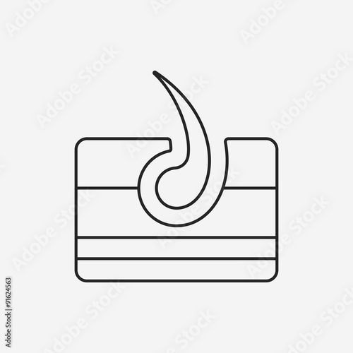 Hair root line icon