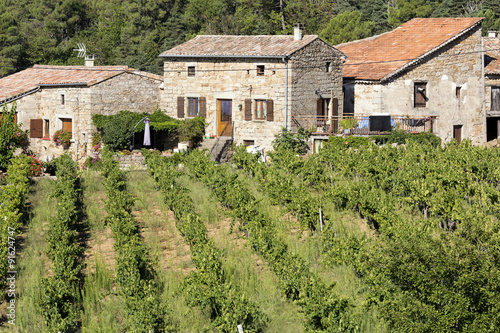 Tableau sur toile Weinanbau in der Ardeche, Frankreich