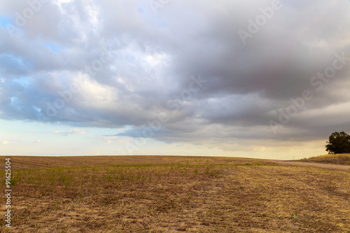 Field under clouds