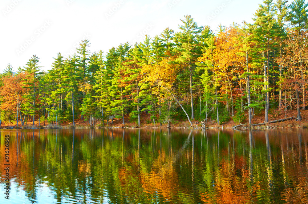 Fototapeta premium Pond in White Mountain National Forest, New Hampshire