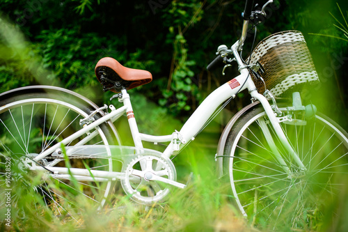 Vintage Bicycle with be fresh field